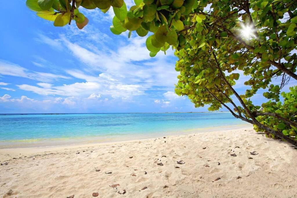 Cozy 1-Bedroom Apartment Minutes Away Drive To Mangel Halto Beach Savaneta Esterno foto